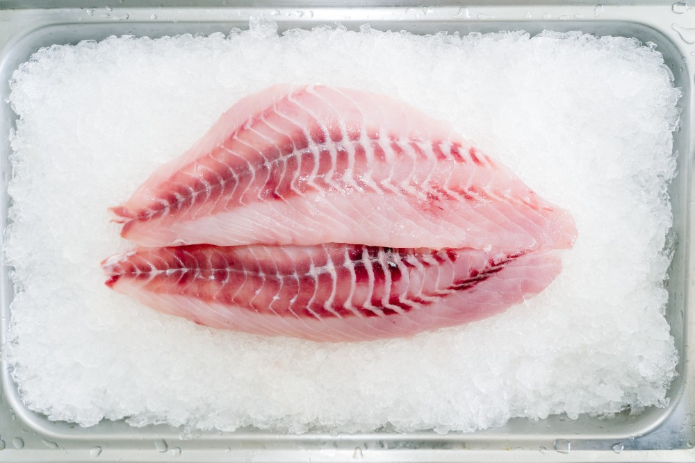 Top 5 delicious frozen Fish to Eat in Qatar