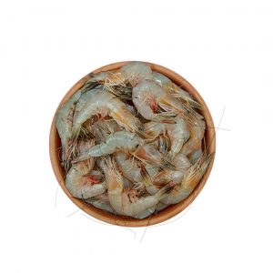 shrimp fish in Qatar
