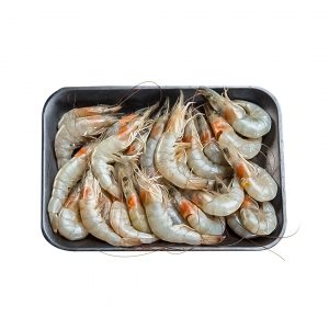 shrimp fish in Qatar
