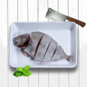 Black Pomfret ( Whole Big ) Cleaned Tail Out Two Finger Slice (Aprox 820gm/1kg)