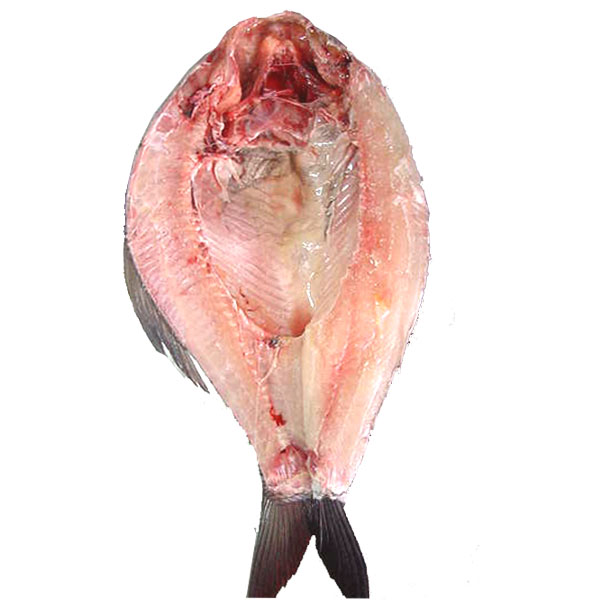 Black Pomfret ( Whole Big ) Cleaned Butterfly Cut  (Aprox 800gm/1kg)