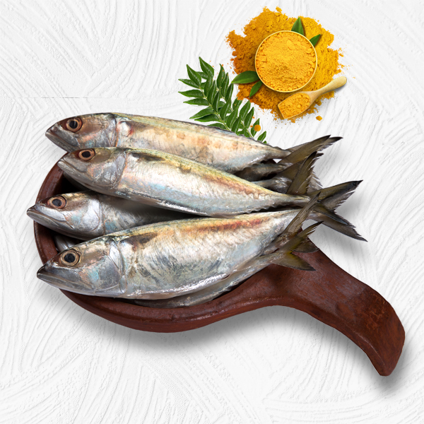 Mackerel Oman - Without Clean Whole  