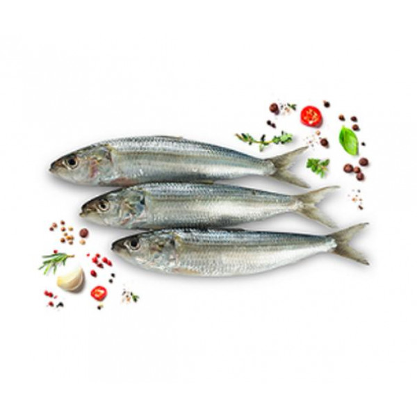 Sardine Oman Salty  - Without Clean Whole	