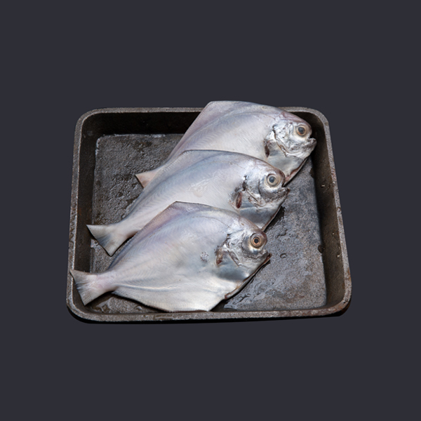 White Pomfret (Whole Small) 200UP - Cleaned Tail Out   (Aprox 700gm/1kg)